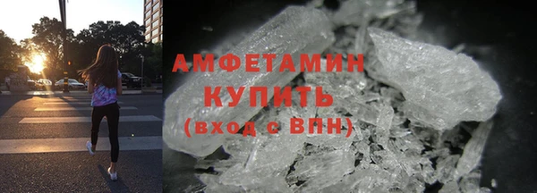 гидра Ессентукская