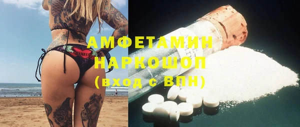 гидра Ессентукская