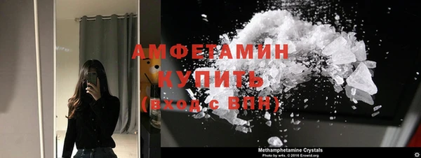 гидра Ессентукская
