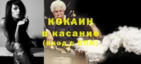 гидра Ессентукская