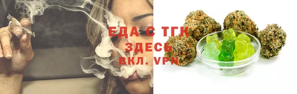 гидра Ессентукская