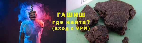 гидра Ессентукская