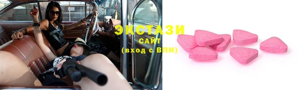 гидра Ессентукская