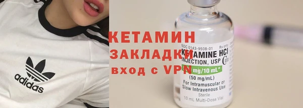 гидра Ессентукская