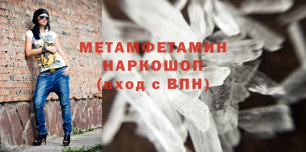 гидра Ессентукская