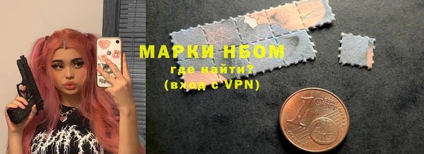 гидра Ессентукская