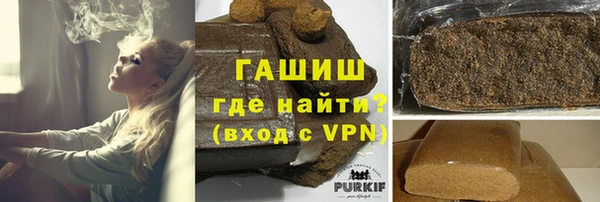 гидра Ессентукская