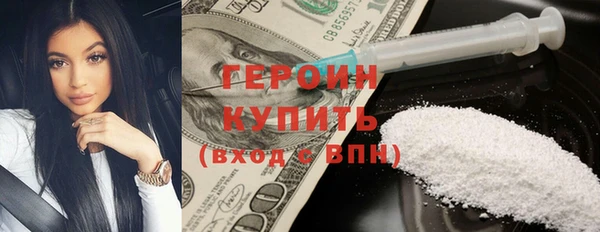 гидра Ессентукская
