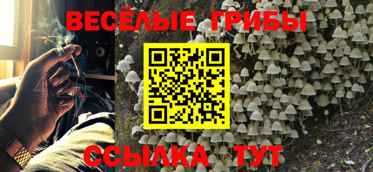 Псилоцибиновые грибы прущие грибы Миасс
